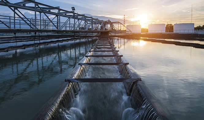 Sludge Dewatering Units