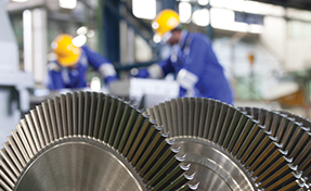 Stake in Triveni Turbine Limited